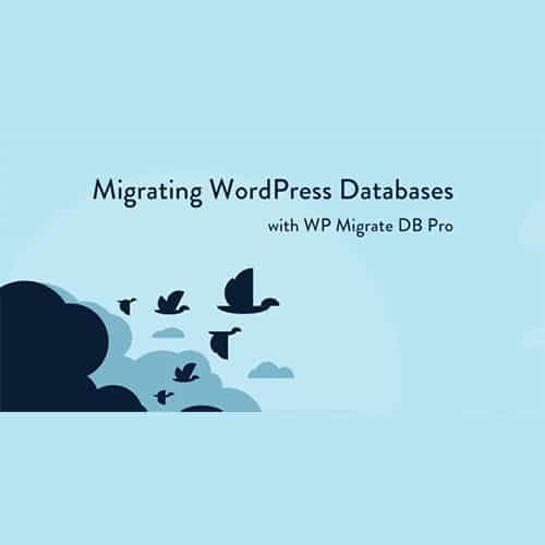 WP Migrate DB Pro Migrating WordPress Databases