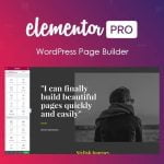 Elementor Pro WordPress Page Builder y Full Templates Kit