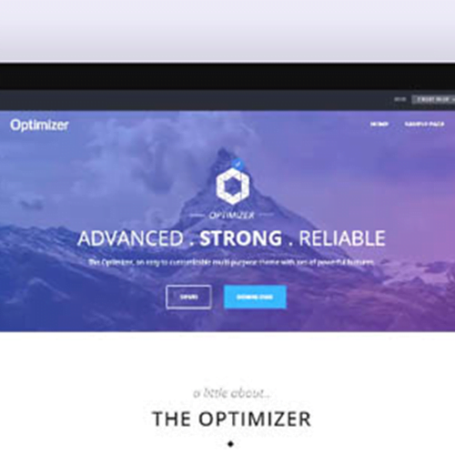 Optimizer Pro Flexible WordPress Theme