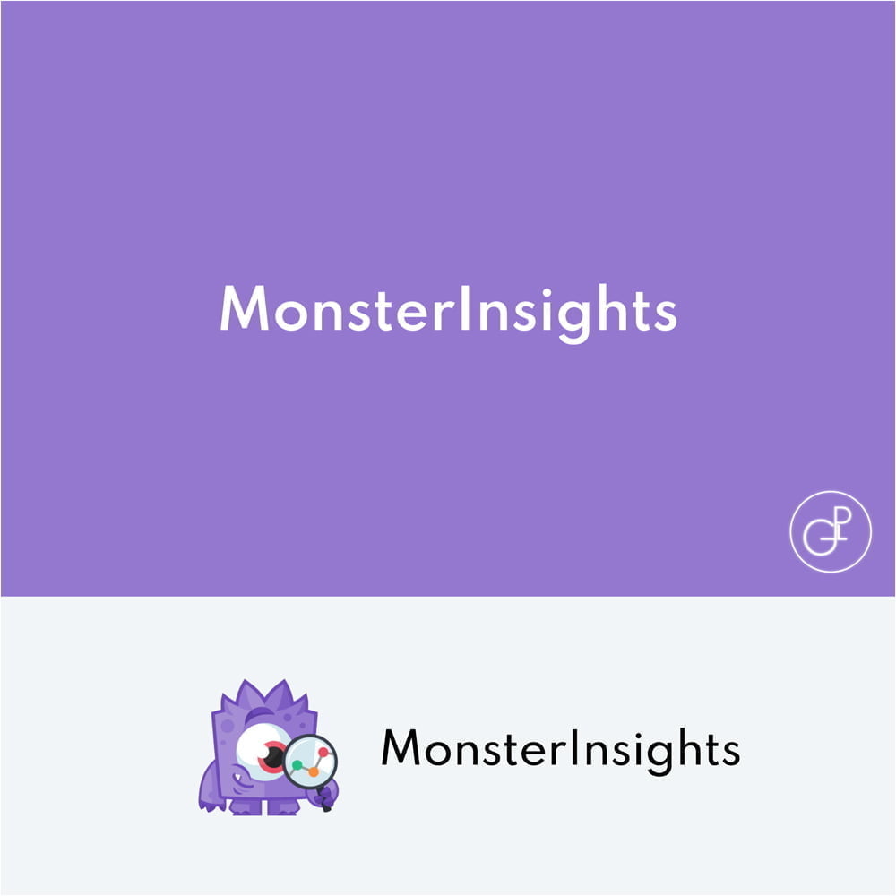 MonsterInsights Plus