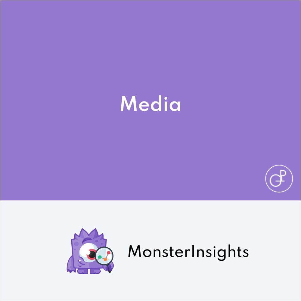 MonsterInsights Media Addon
