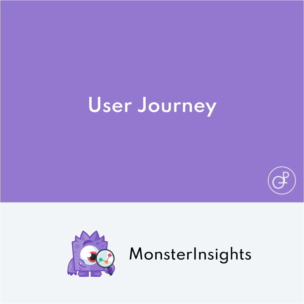 MonsterInsights User Journey