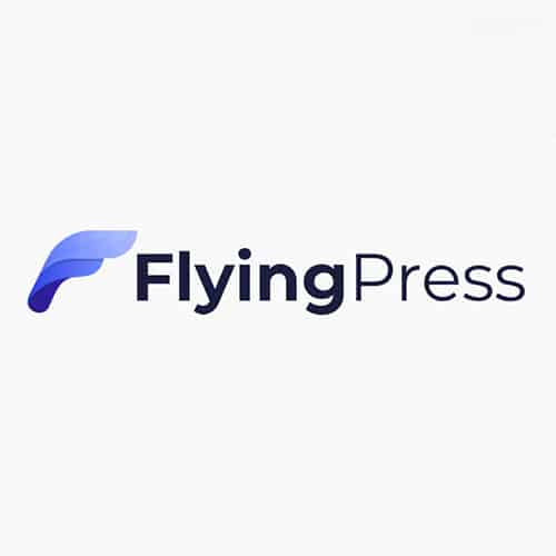 FlyingPress Taking WordPress to new heights