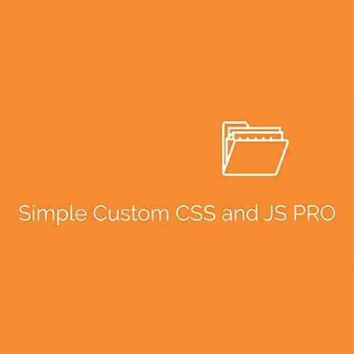 Simple Custom CSS et JS PRO