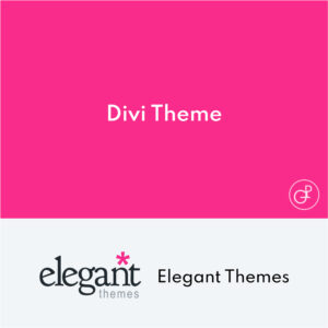 Divi Theme