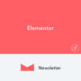 Newsletter Elementor Addon