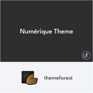 Numérique SEO Digital Marketing Theme