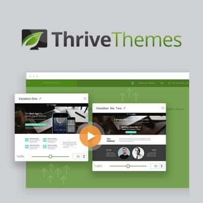 6 Easy Facts About What Is Thrive Themes Shown