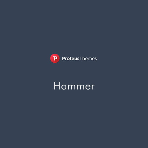 Hammer WordPress Theme