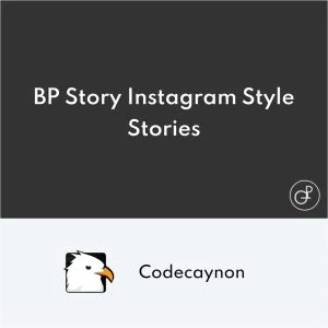 BP Story Instagram Style Stories for WordPress
