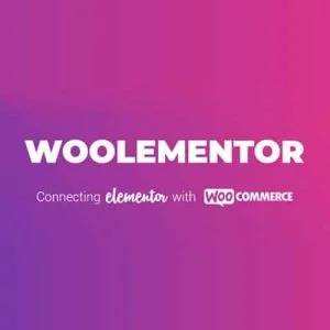 CoDesigner Pro (Woolementor)