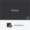 Intrinsic Creative Personal Portfolio WordPress Themes