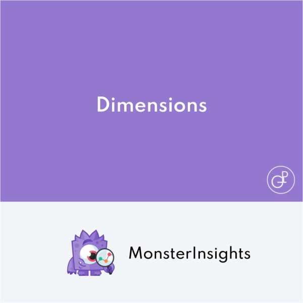 MonsterInsights Dimensions Addon