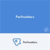 Perfmatters WordPress Plugin