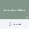 SearchWP Boolean Search Query