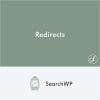 SearchWP Redirects