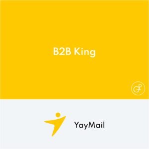 YayMail B2B King